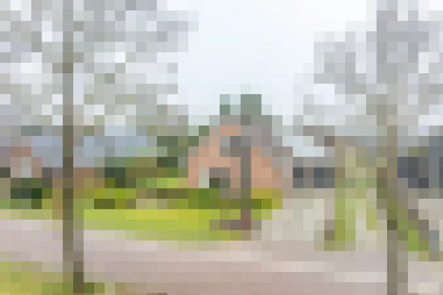 Verlengde Vaart ZZ 119 in Erica