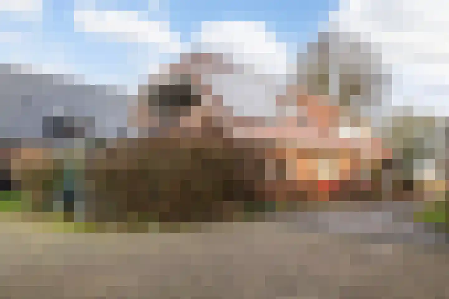 Verlengde Vaart ZZ 141 Erica thumbnail 39