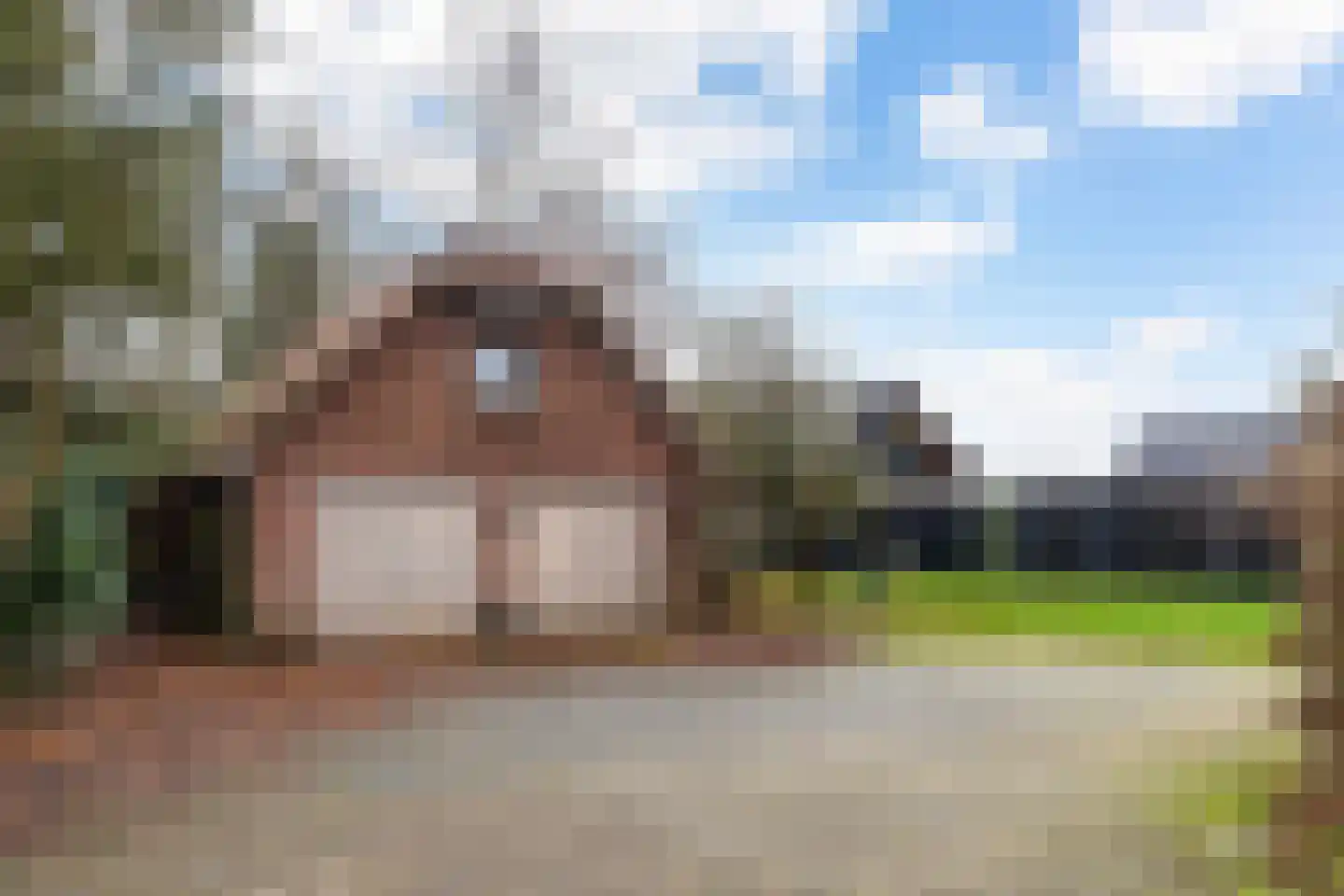 Verlengde Vaart ZZ 141 Erica thumbnail 45