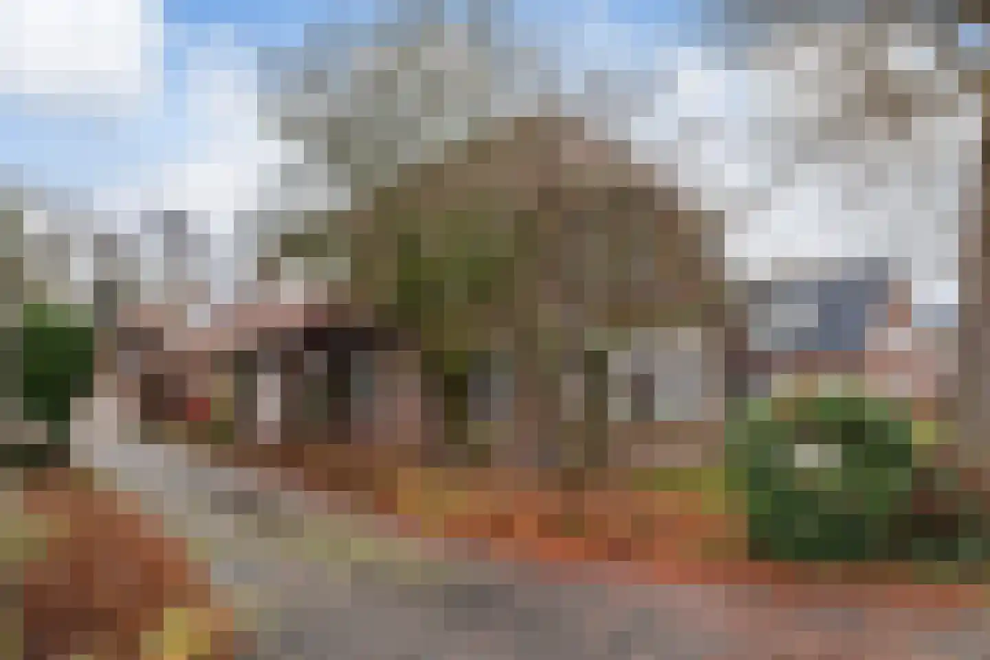 Verlengde Vaart ZZ 141 Erica thumbnail 5