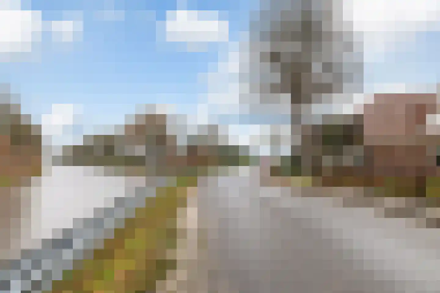 Verlengde Vaart ZZ 141 Erica thumbnail 50