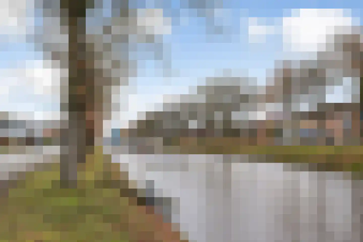 Verlengde Vaart ZZ 141 Erica thumbnail 51