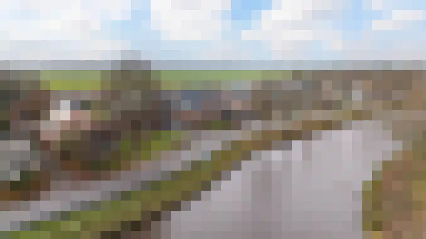 Verlengde Vaart ZZ 141 Erica thumbnail 54