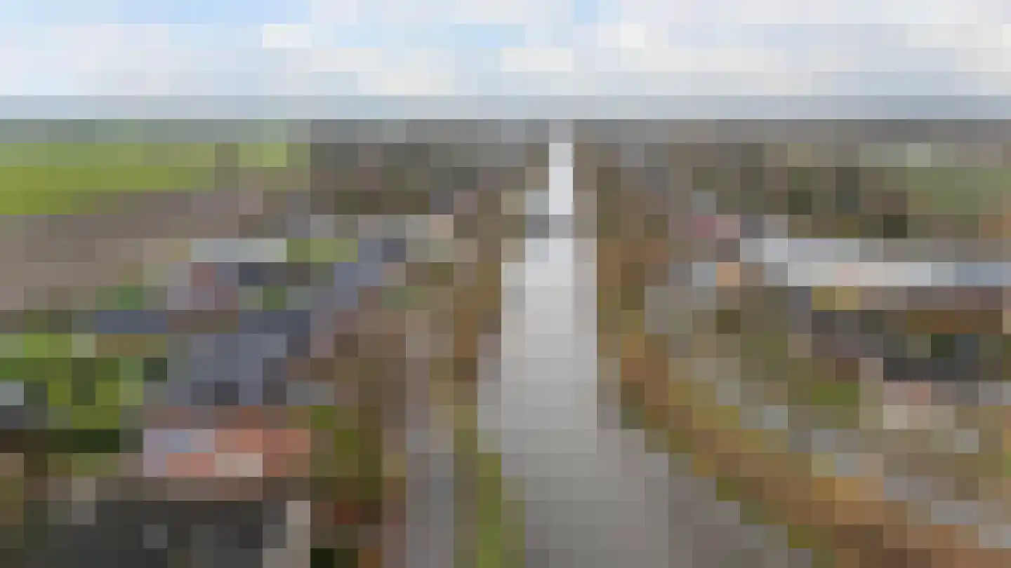 Verlengde Vaart ZZ 141 Erica thumbnail 58
