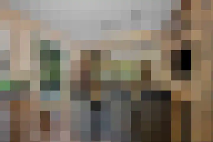 Verlengde Vaart ZZ 158 Erica thumbnail 13
