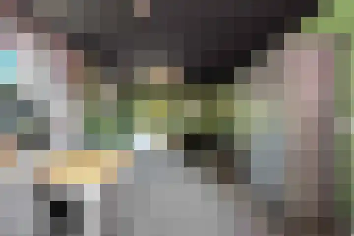 Verlengde Vaart ZZ 158 Erica thumbnail 17