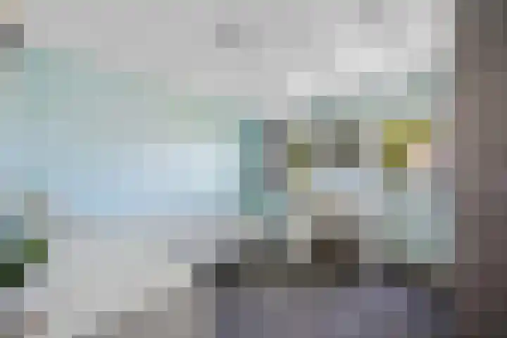 Verlengde Vaart ZZ 158 Erica thumbnail 28