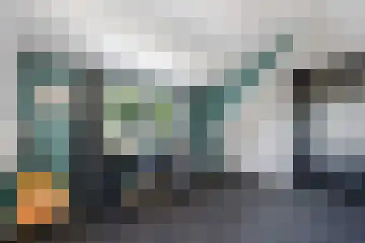 Verlengde Vaart ZZ 158 Erica thumbnail 34