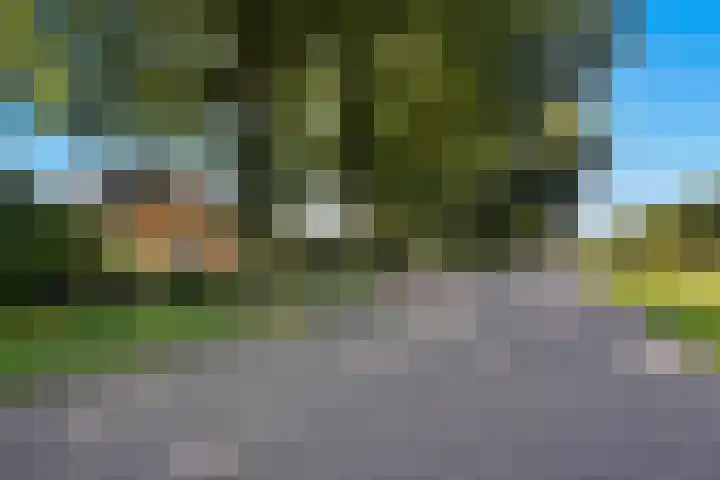 Verlengde Vaart ZZ 158 Erica thumbnail 36