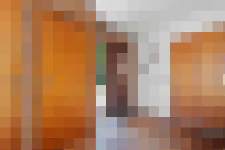 Verlengde Vaart ZZ 158 Erica thumbnail 4