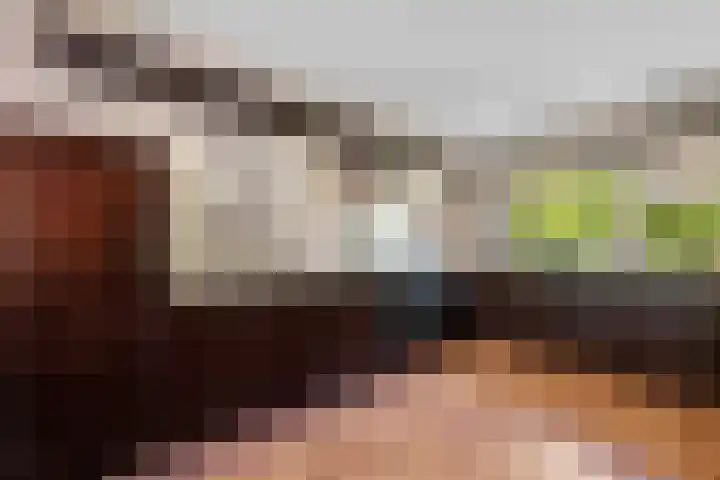 Verlengde Vaart ZZ 158 Erica thumbnail 8