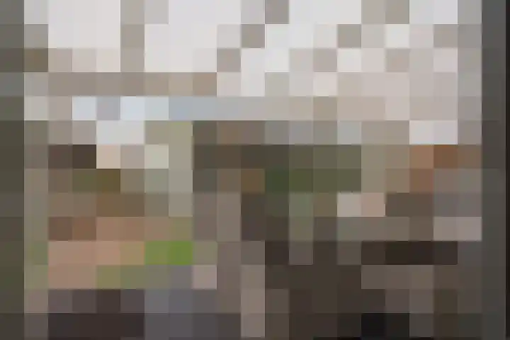 Verlengde Vaart ZZ 89 A Erica thumbnail 20