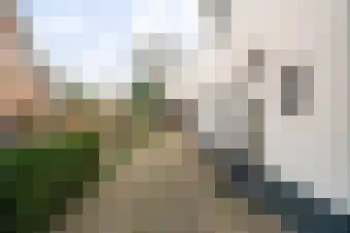 Verlengde Vaart ZZ 89 A Erica thumbnail 37
