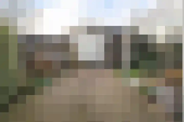 Verlengde Vaart ZZ 89 A Erica thumbnail 38
