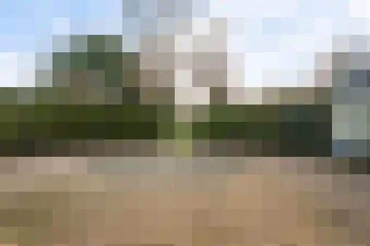 Verlengde Vaart ZZ 89 A Erica thumbnail 42