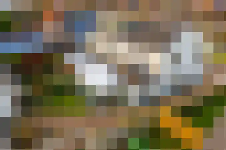 Verlengde Vaart ZZ 89 A Erica thumbnail 44
