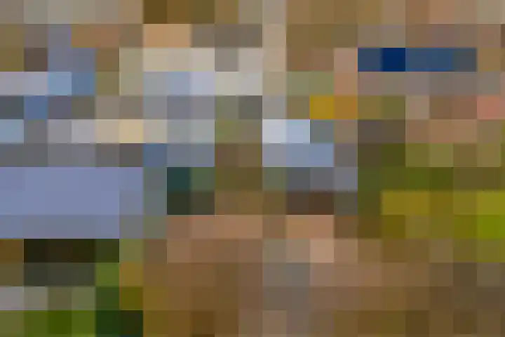 Verlengde Vaart ZZ 89 A Erica thumbnail 45