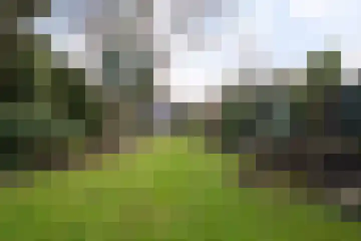 Verlengde Vaart ZZ 89 A Erica thumbnail 46