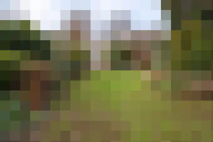Verlengde Vaart ZZ 89 A Erica thumbnail 47