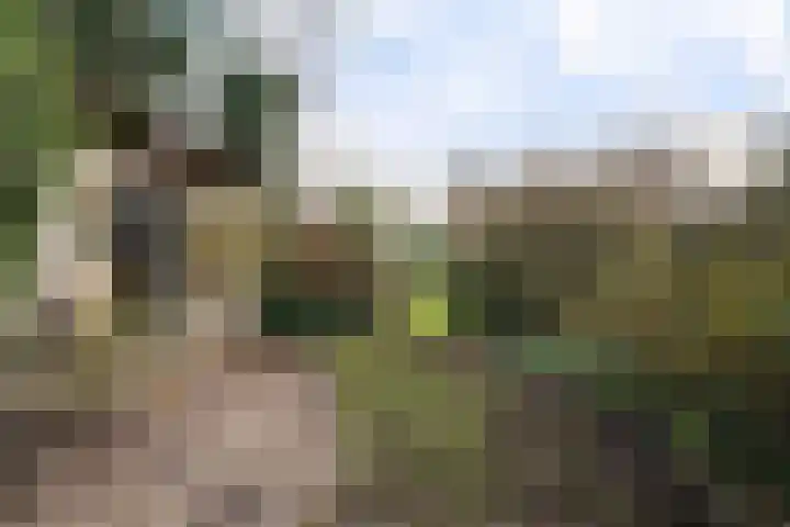 Verlengde Vaart ZZ 89 A Erica thumbnail 48