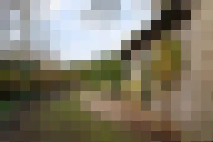 Verlengde Vaart ZZ 89 A Erica thumbnail 49