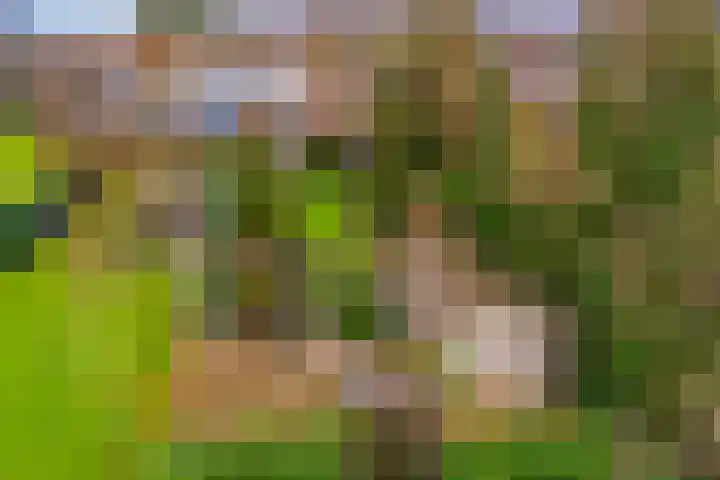 Verlengde Vaart ZZ 89 A Erica thumbnail 51