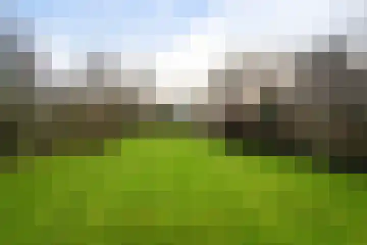 Verlengde Vaart ZZ 89 A Erica thumbnail 53