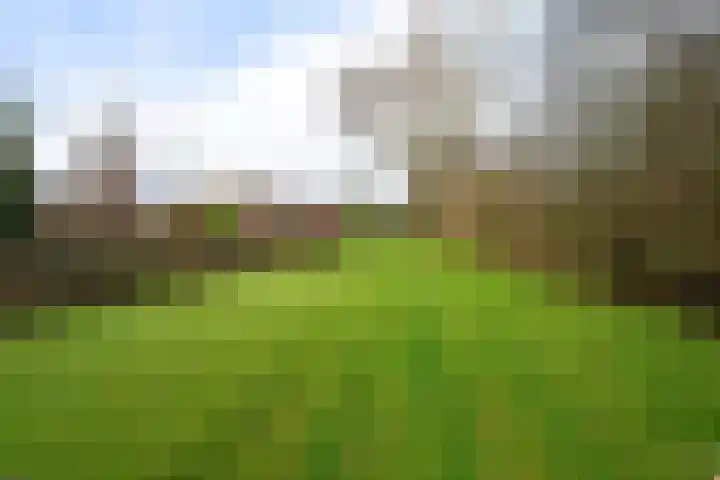 Verlengde Vaart ZZ 89 A Erica thumbnail 54