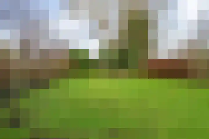 Verlengde Vaart ZZ 89 A Erica thumbnail 55
