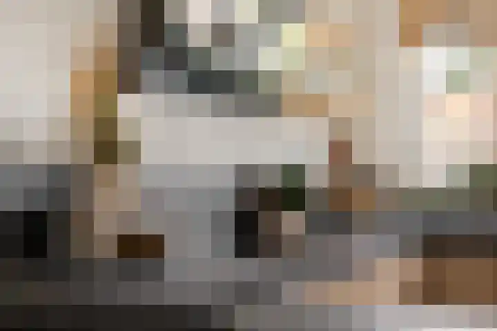 Verlengde Vaart ZZ 89 A Erica thumbnail 7