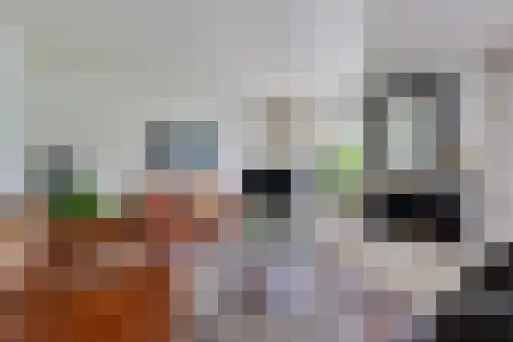 Verlengde Vaart ZZ 92 B Erica thumbnail 11
