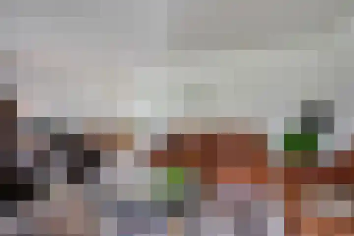 Verlengde Vaart ZZ 92 B Erica thumbnail 12