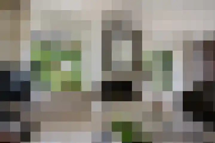 Verlengde Vaart ZZ 92 B Erica thumbnail 13
