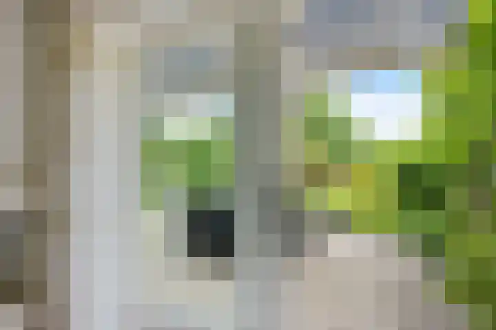 Verlengde Vaart ZZ 92 B Erica thumbnail 15