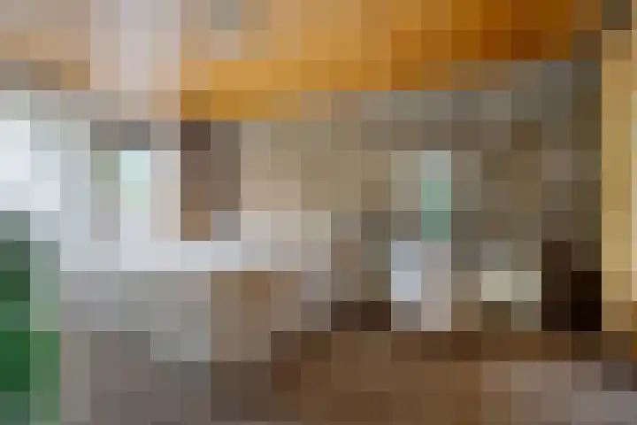 Verlengde Vaart ZZ 92 B Erica thumbnail 20