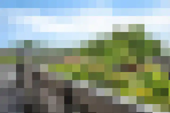 Verlengde Vaart ZZ 92 B Erica thumbnail 22