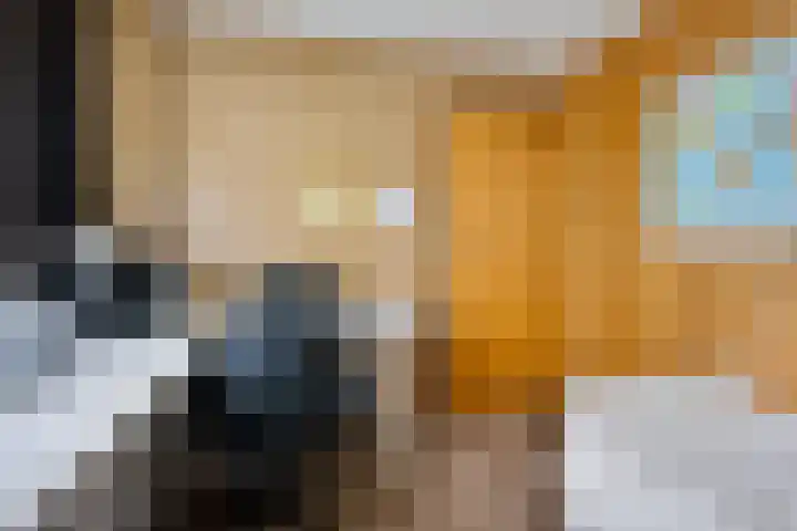 Verlengde Vaart ZZ 92 B Erica thumbnail 24
