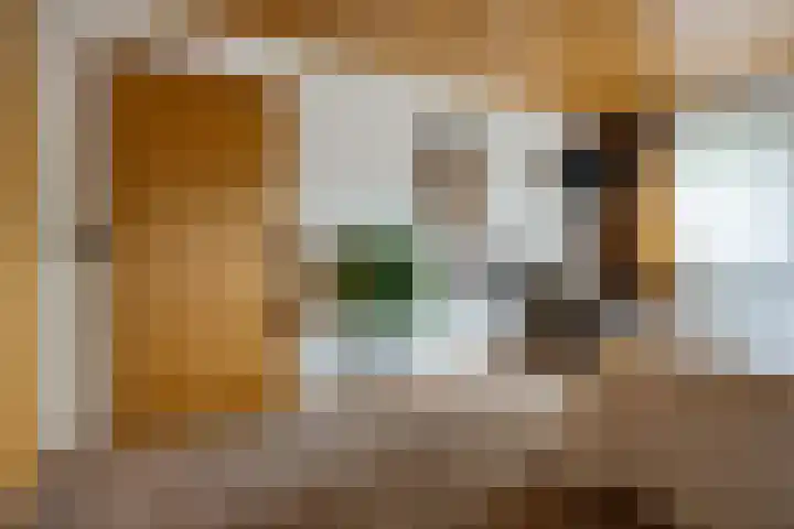Verlengde Vaart ZZ 92 B Erica thumbnail 25