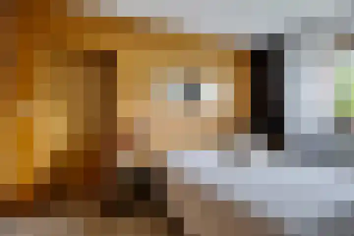 Verlengde Vaart ZZ 92 B Erica thumbnail 26