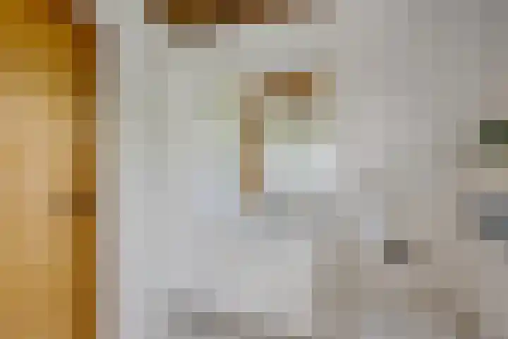 Verlengde Vaart ZZ 92 B Erica thumbnail 29