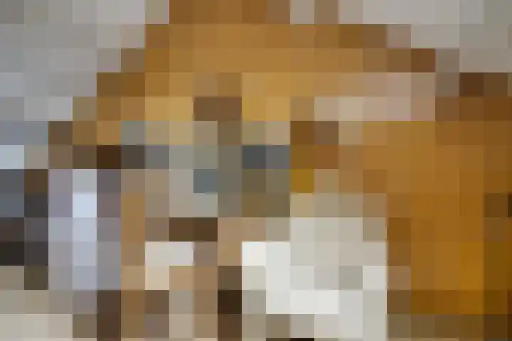 Verlengde Vaart ZZ 92 B Erica thumbnail 33