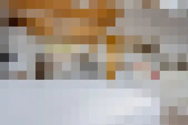 Verlengde Vaart ZZ 92 B Erica thumbnail 36