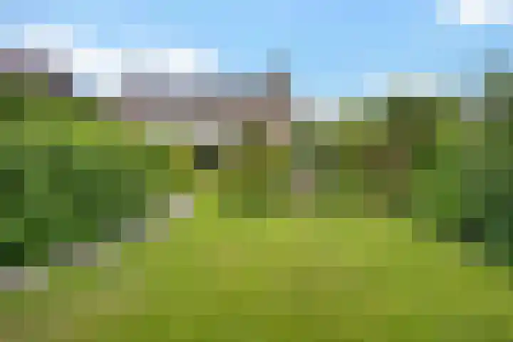 Verlengde Vaart ZZ 92 B Erica thumbnail 37