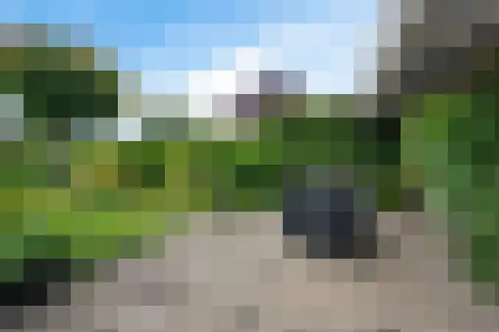 Verlengde Vaart ZZ 92 B Erica thumbnail 38
