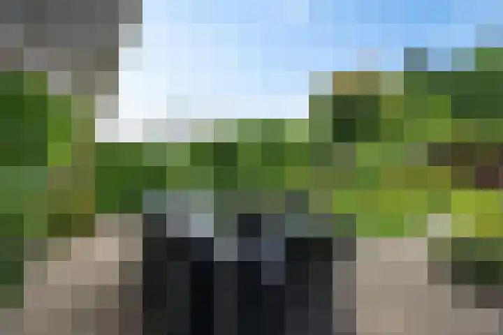 Verlengde Vaart ZZ 92 B Erica thumbnail 39
