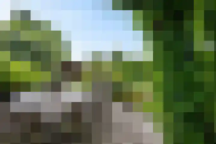Verlengde Vaart ZZ 92 B Erica thumbnail 40