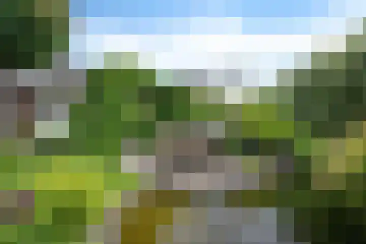 Verlengde Vaart ZZ 92 B Erica thumbnail 41