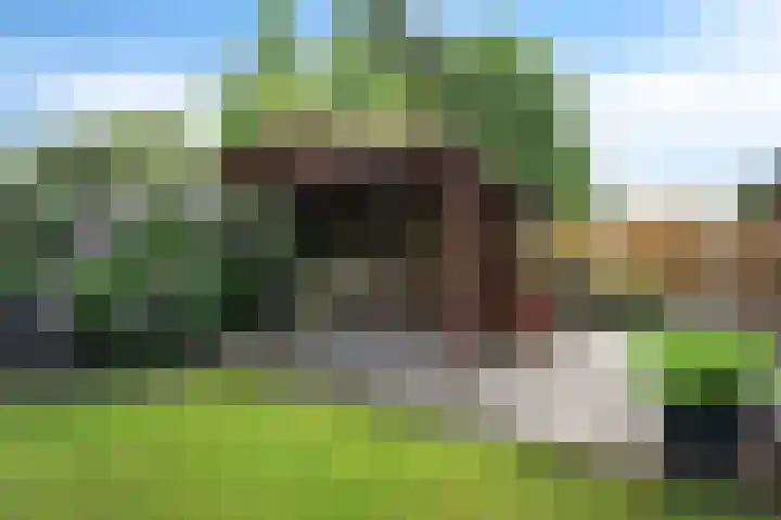 Verlengde Vaart ZZ 92 B Erica thumbnail 42