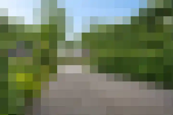 Verlengde Vaart ZZ 92 B Erica thumbnail 44