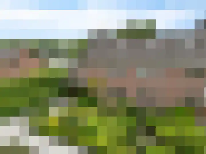 Verlengde Vaart ZZ 92 B Erica thumbnail 45